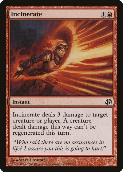 焚化 (Incinerate)