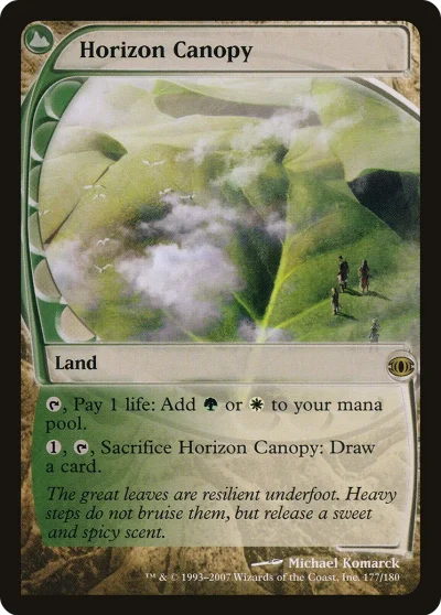 遍野林冠 (Horizon Canopy)