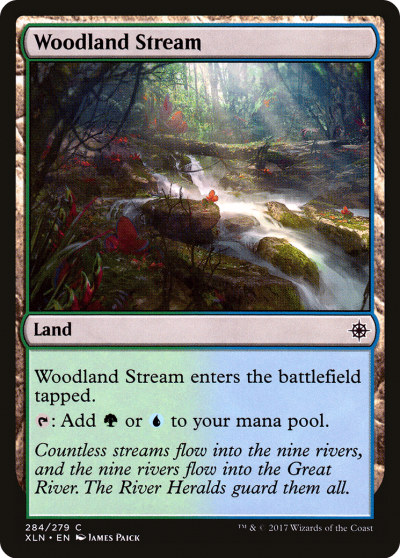 林地溪流 (Woodland Stream)